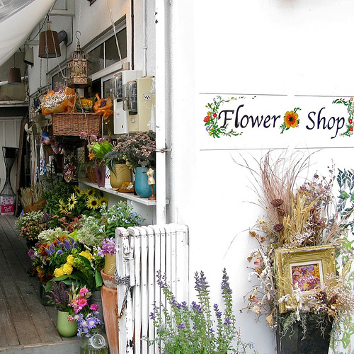 Industry Overview Florist Shop Business Small Business Accelerator